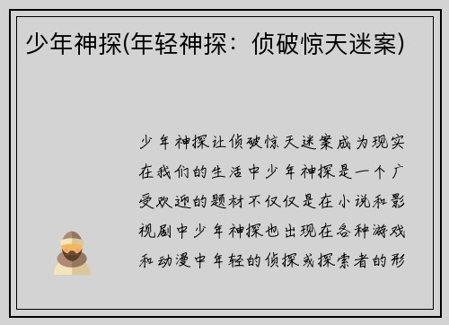 少年神探(年轻神探：侦破惊天迷案)